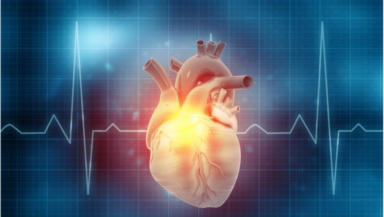 What Exactly Is Heart Rate Training?