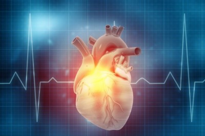 What Exactly Is Heart Rate Training?