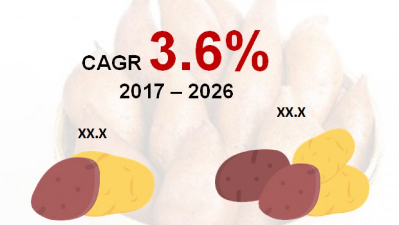 Potato Protein Market- Growth, Drivers and Driving Demand, 2017-2026