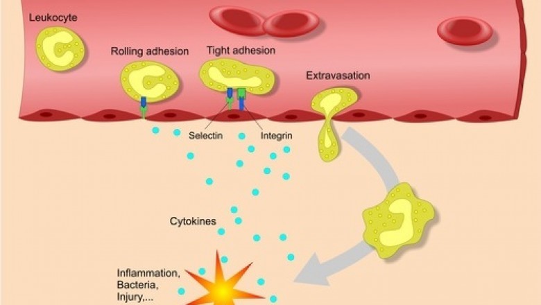 Adenosine Deaminase Deficiency Treatment Market Growth Prospects, Key Vendors, Future Scenario Forecast by 2028