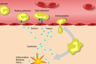 Adenosine Deaminase Deficiency Treatment Market Growth Prospects, Key Vendors, Future Scenario Forecast by 2028