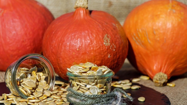 Pumpkin Seed Market - Global Industry Analysis 2025