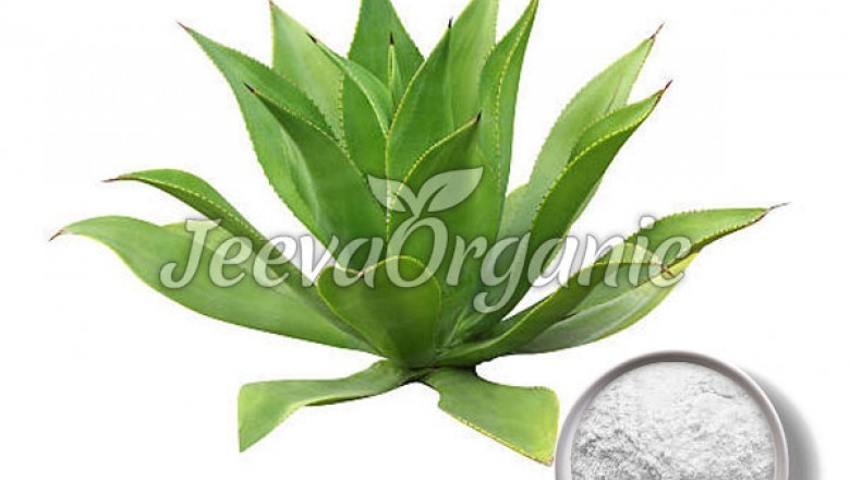 Agave Powder