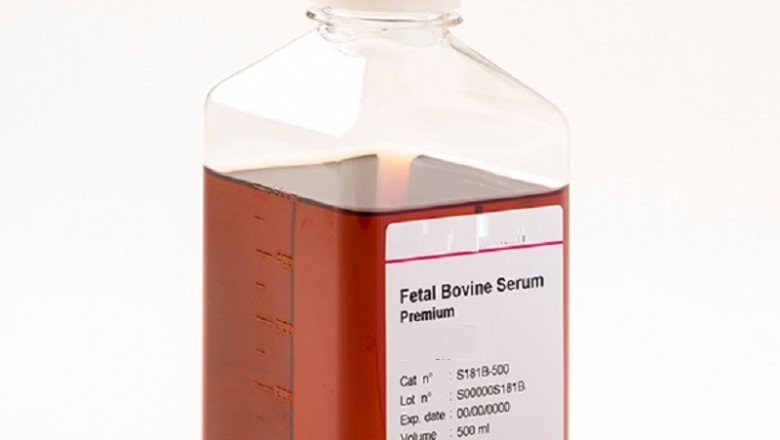 Fetal Bovine Serum Market Asia Pacificly, by 2026 market registering a substantial CAGR