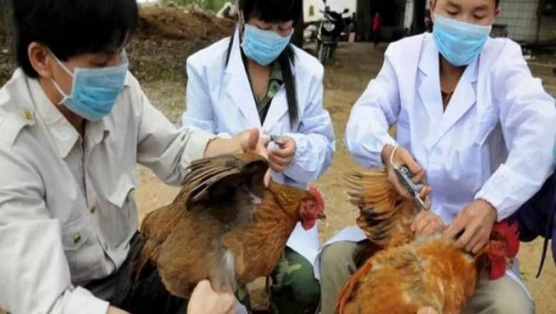 Global Bird Flu Treatment Market Size, Status and Forecast 2021-2027