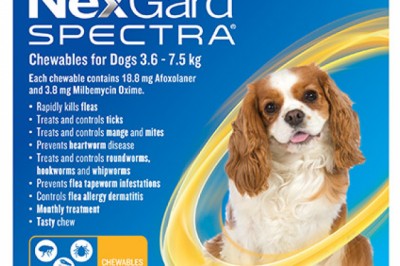 Nexgard Spectra For Small Dog Online | DiscountPetCare