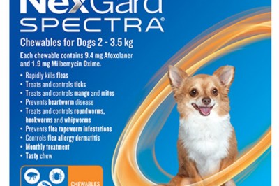 Nexgard Spectra For Very Small Dog Online | DiscountPetCare