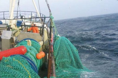 Trawl Ropes And Nets Can Also Be Used For Marine Research, And They Are Sometimes Referred To As Pelagic Trawling Or Fish Trawling