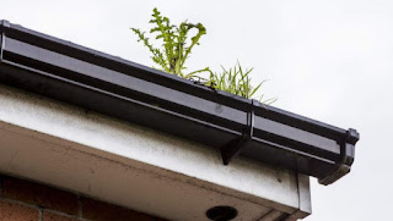 What are common signs your gutters are blocked?