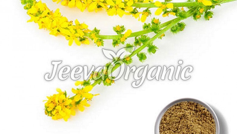 Agrimony Powder
