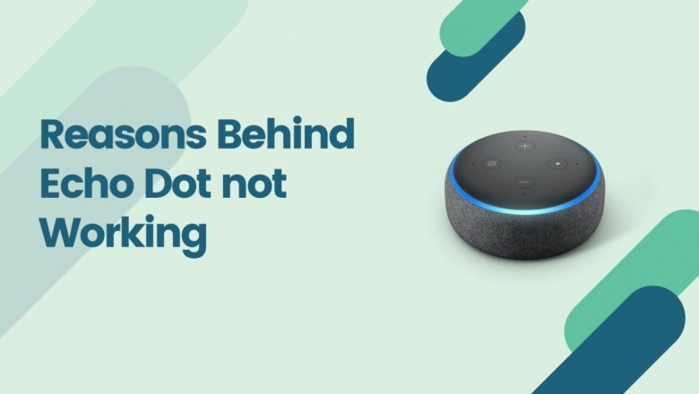 Echo DOT not working