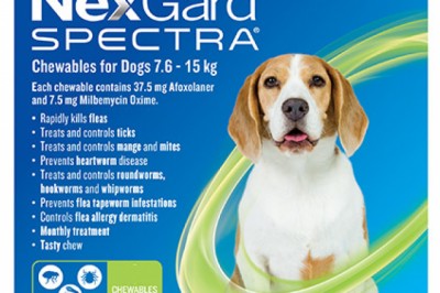 Nexgard Spectra For Medium Dog Online | DiscountPetCare
