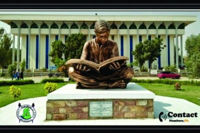 University of Sindh Jamshoro USINDH All Contact Details