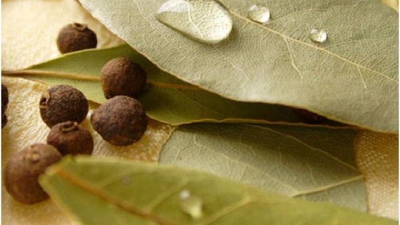 As for the bay leaf market, it is expected to grow at a high rate during the forecast period