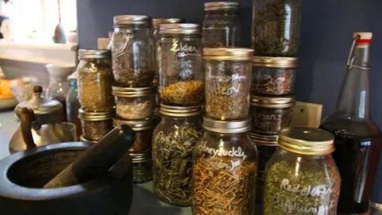 Herbs In Pakistan - Reasons to Choose Pakistani herbs