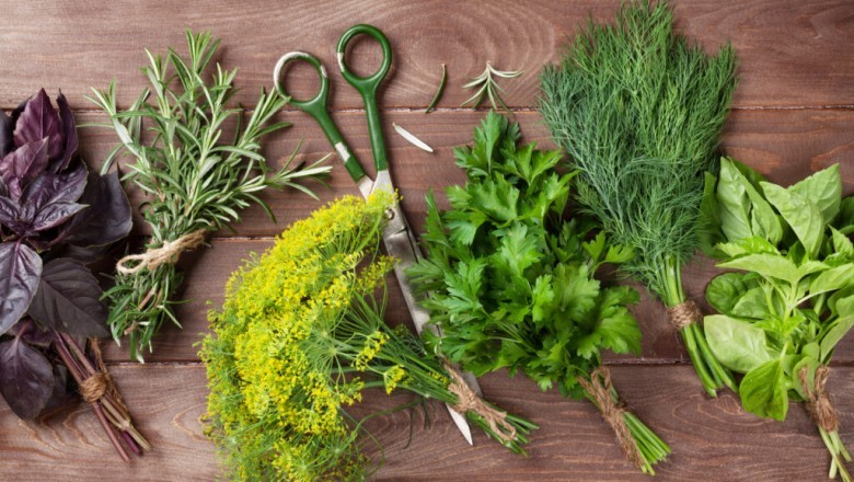 Order Herbs Online - Bulk Herb Store