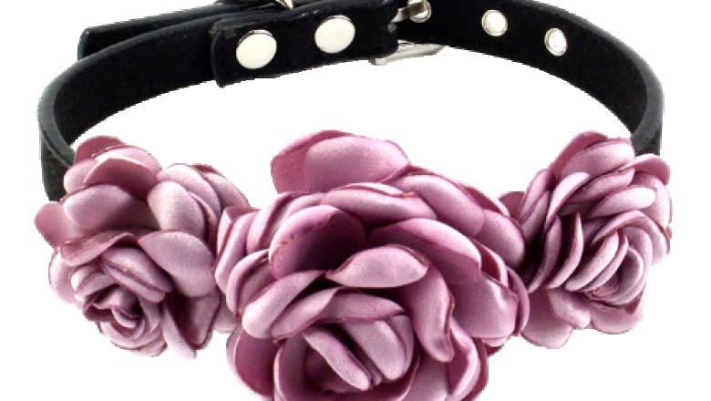 Pet accessories shop - Dog Collar | Dog Rose Collar | Dog Collar Flower | Rose Dog Collar