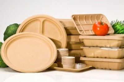 Biodegradable Paper and Plastic Packaging Market Overview, Analysis forecast to 2028