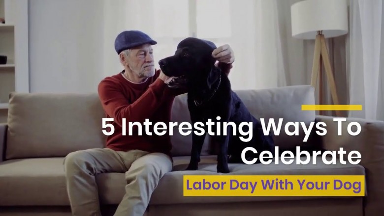 5 Interesting Ways To Celebrate Labor Day 2021 With Your Dog