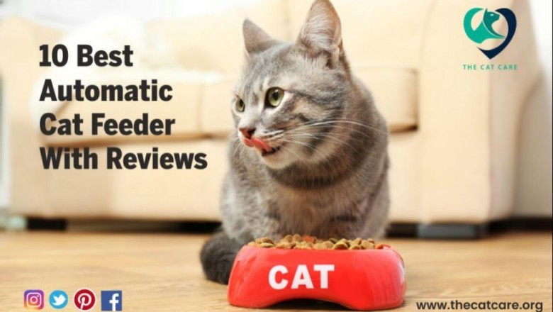 Best Automatic Cat Feeder