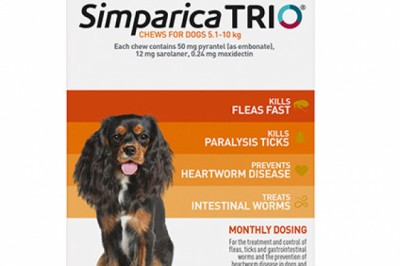 Simparica TRIO For Small Dogs 5.1 - 10Kg Orange | DiscountPetCare