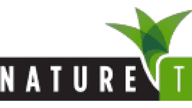 Artificial grass price Malaysia