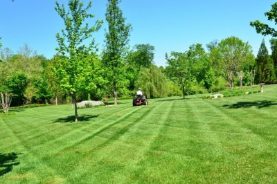Lawn cutting services in  Hammond LA