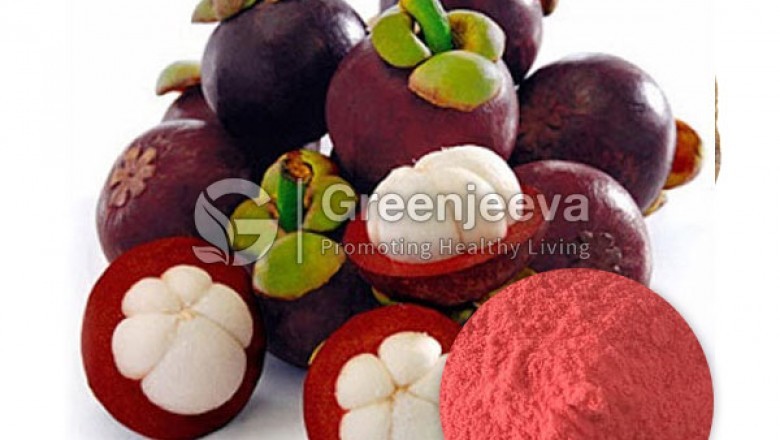Mangosteen Extract Powder