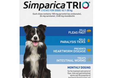 Simparica TRIO For Medium Dogs 10.1 - 20Kg Blue | DiscountPetCare