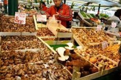 How Do You Define Mushroom? What Are Some Of The Health Advantages Of Including It In Your Diet?