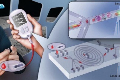 Point of Care Molecular Diagnostics  Market Detail Analysis focusing on Key Players | Forecasts 2021-2028