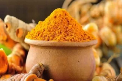 Turmeric Oleoresin Market Share Analysis