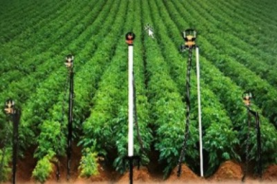 Micro Sprinkler for Vegetables Cultivation at Small Farms