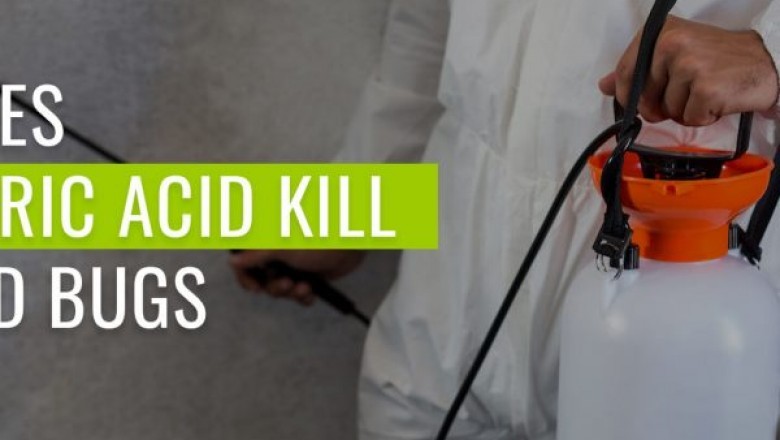 Does Baking Soda Kill Bed Bugs? Pestwhisperer.Com Shows How to Kill Them Effectively and Safely