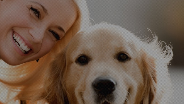 Dog Business for Sale: Why Starting a Dog Business is a Doggone Good Idea