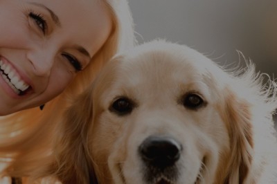 Dog Business for Sale: Why Starting a Dog Business is a Doggone Good Idea