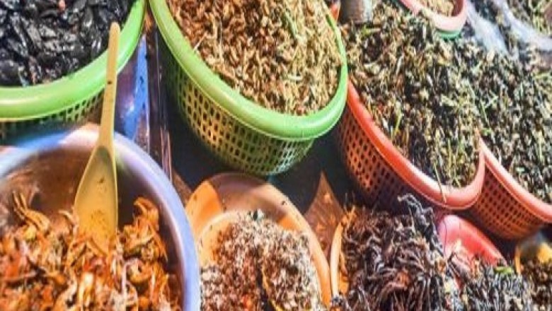 Edible Insects Market by Product, by Typeand Application - Global Forecast to 2027