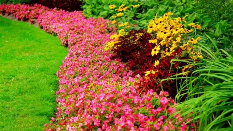 Best Cypress Landscapers | Professional Landscaping Designs