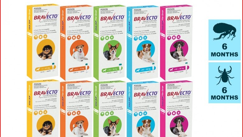 Bravecto Spot On 2 Doses for Dogs Tick Flea Prevention