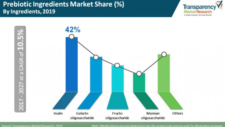 Prebiotic Ingredients Market: Global Industry Analysis