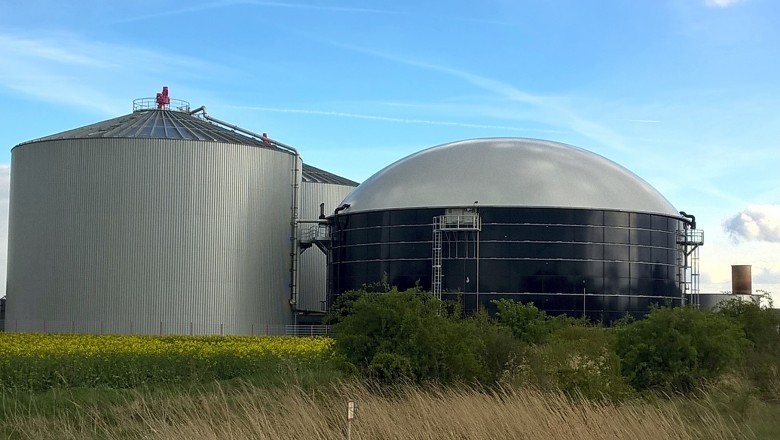 Biogas Market - Global Industry Report, 2030