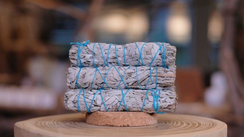 Pimary: Providing Sustainable Products to Implement Sustainable Living