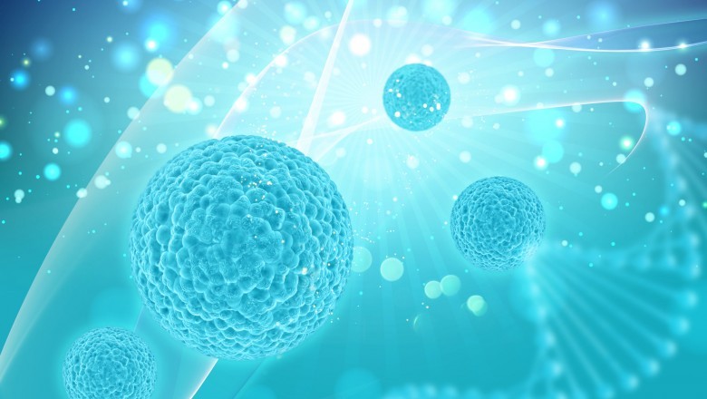 T-cell Therapy Market Trends, Scope, Share, Demand, Opportunity and Forecast 2021-2026