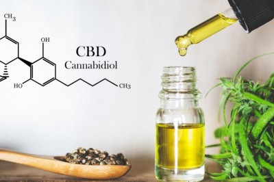 Veterinary Cbd Market Industry Growth, Demand, Segmentation, Developments, Competitive Landscape and Regional Outlook 2027 | Key Players Honest Paw, HolistaPet | By Region, By Product | USD 125 million by the end of the year 