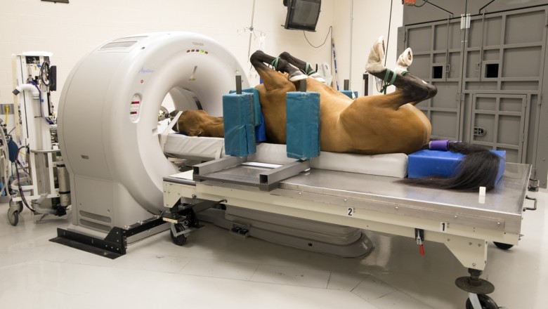 Veterinary Ct Scanner Market Analysis of COVID-19 | Growth Drivers, Business Opportunities, Competitive Landscape 2027 | Animage, LLC (U.S.), Hitachi, Ltd. (Japan), GIN ApS (Denmark), 4DDI (U.S.), and QR s.r.l. (Italy) among