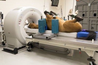 Veterinary Ct Scanner Market Analysis of COVID-19 | Growth Drivers, Business Opportunities, Competitive Landscape 2027 | Animage, LLC (U.S.), Hitachi, Ltd. (Japan), GIN ApS (Denmark), 4DDI (U.S.), and QR s.r.l. (Italy) among 