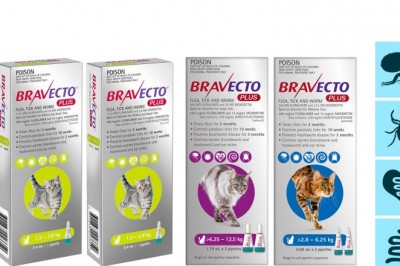 BRAVECTO PLUS Heartworm Flea Tick and Worm Treatment for Cats