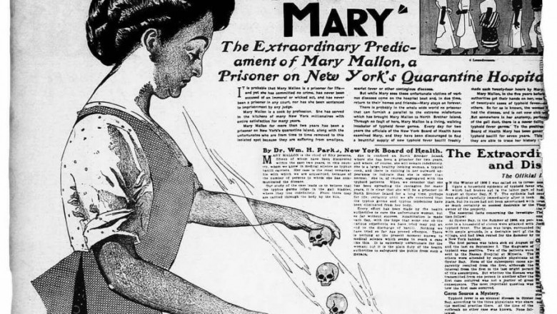 Facts about Typhoid Mary