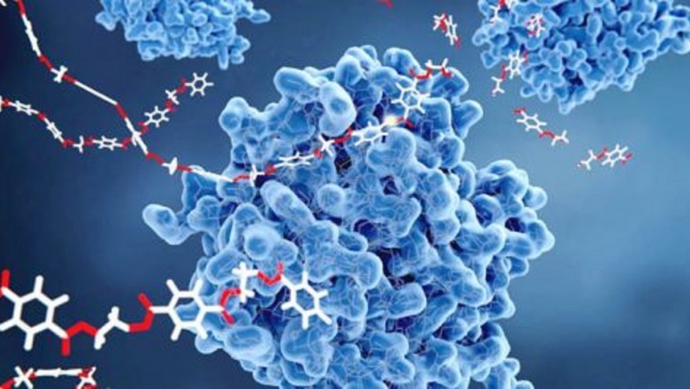 Global Enzymes Market: Industry Analysis, Trends, Market Size, andForecasts up to 2027