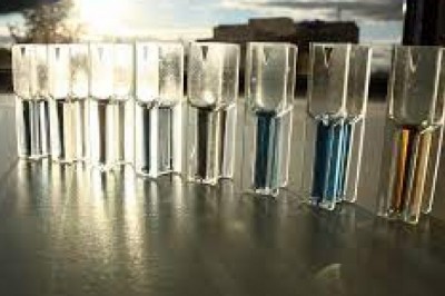 The Protein Assays Market report composes qualitative and quantitative valuation by industry analysts, experimental knowledge